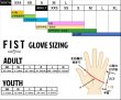 画像3: FIST  GREY STOCKER (Youth) (3)