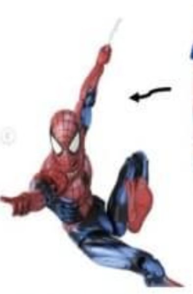 画像3: FIST  WEBS (Youth) (3)